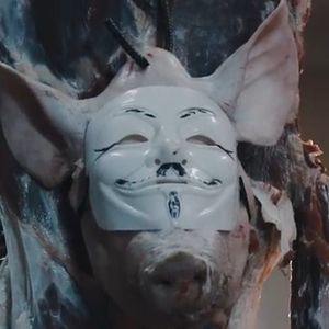 Meet your Posher, Luis